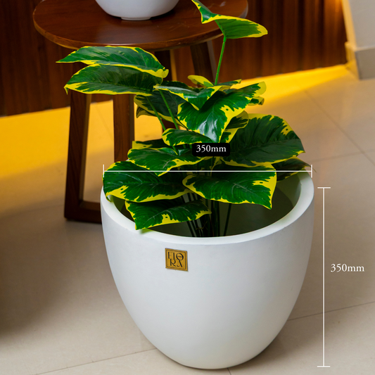Round Bowl Planter - White