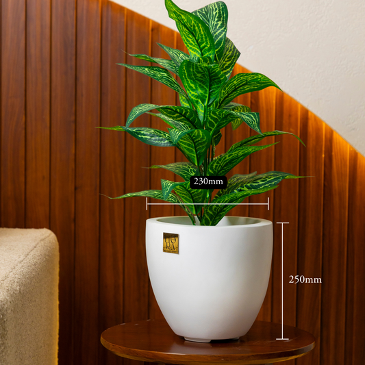 Round Bowl Planter - White