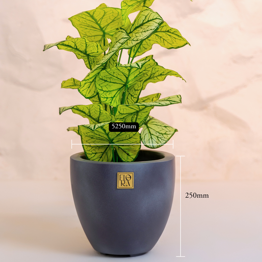 Round Bowl Planter- Concrete